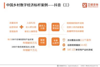 2022年中国乡村数字经济发展 数字内容制作服务的崛起与展望